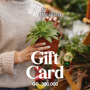 Gift_card_300.000